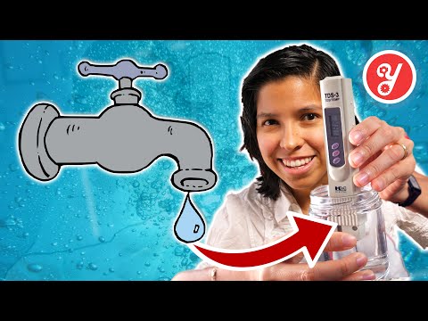 How to Test Water Quality at Home: Should You Filter Your Water?