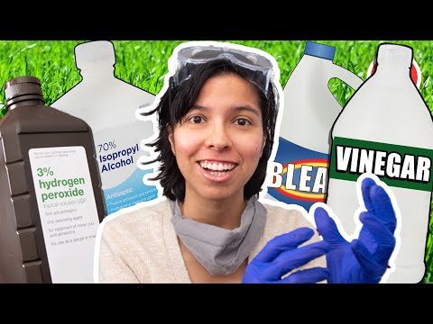 How to Choose the Right Cleaning Disinfectants