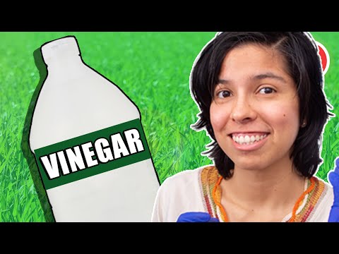 How to Use Cleaning Vinegar (Acetic Acid)