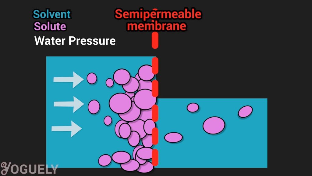 if you were to pass water solely through a RO membrane, the RO membrane would get worn out pretty quickly. The tiny pores would catch everything, large and small, and plug up fast.