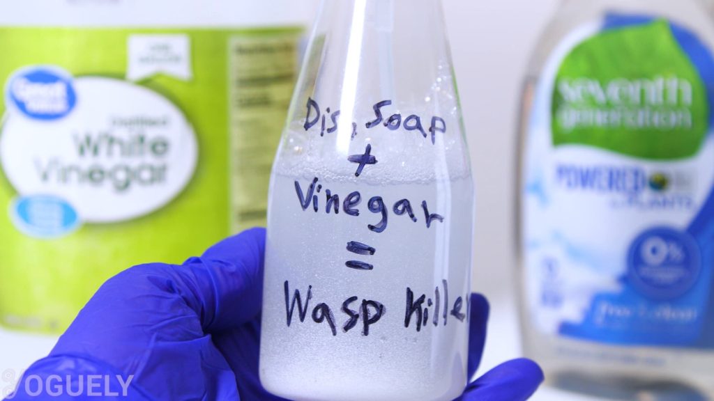 You don’t need toxic chemicals to kill a wasp. Simply use a 50/50 mixture of vinegar and water, and a few drops of liquid soap in a spray bottle. Then, shake the bottle to form some froth. Finally, spray it to the wasps and their nest. Wasps won’t be able to flap their wings and will eventually die.